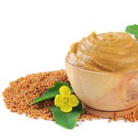 Moutarde en feuilles - description avec photo de la plante ;  sa culture, ses propriétés bénéfiques et son utilisation ;  avantage et préjudice;  recettes de plats