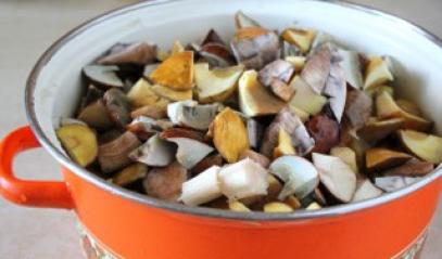Рецепт приготування солянки з грибами на зиму пальчики оближеш
